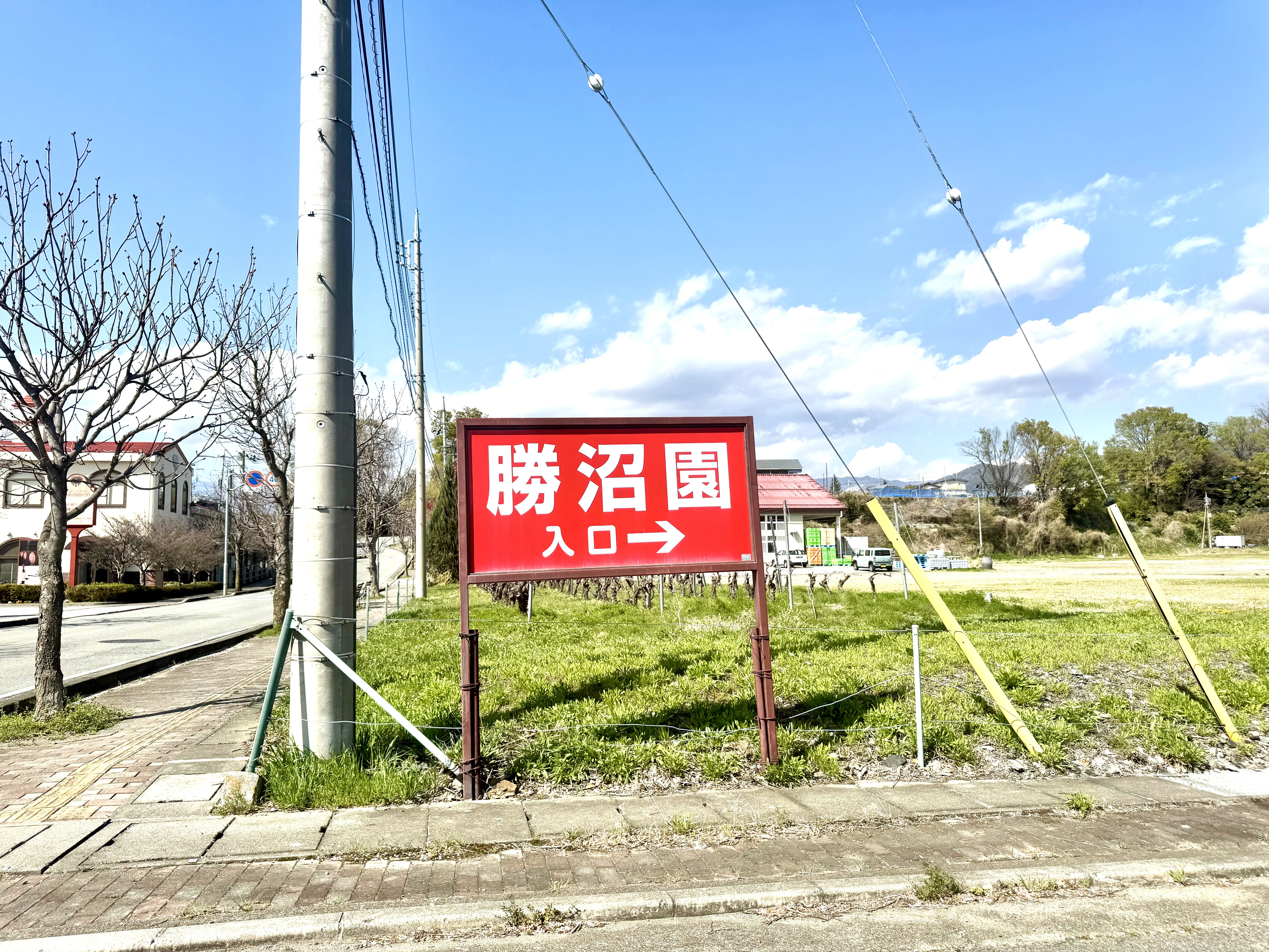 勝沼園の看板が目印