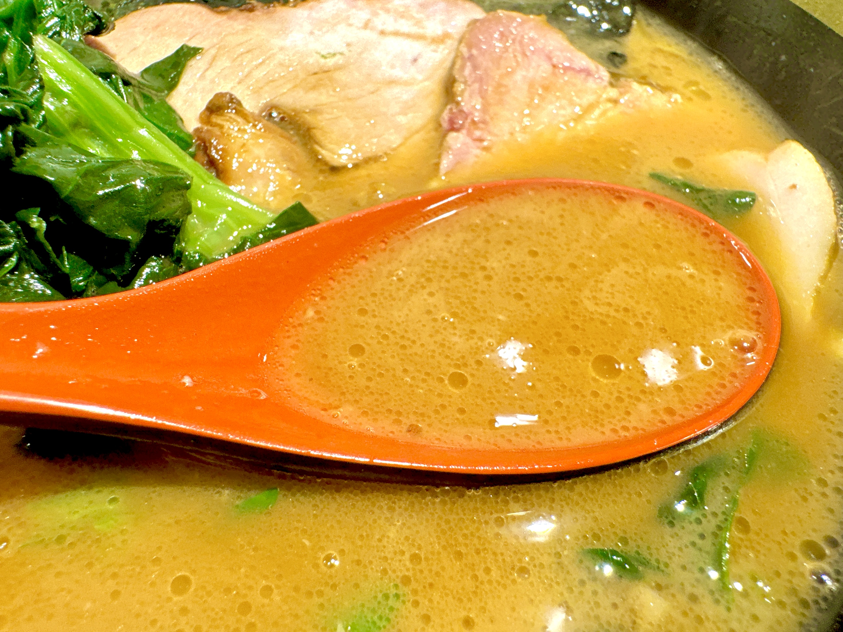 濃厚家系スープ