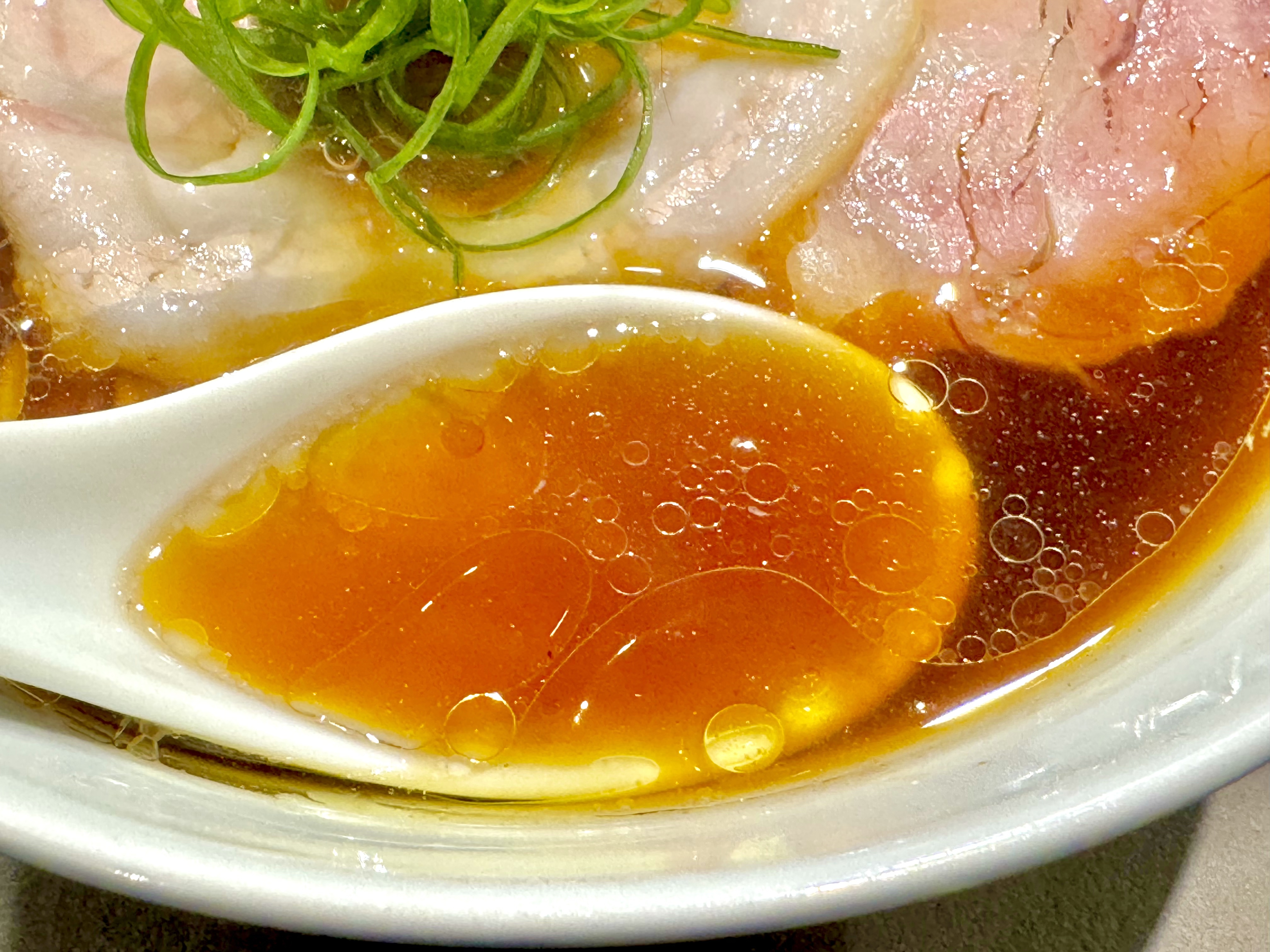 動物と魚を感じるスープ
