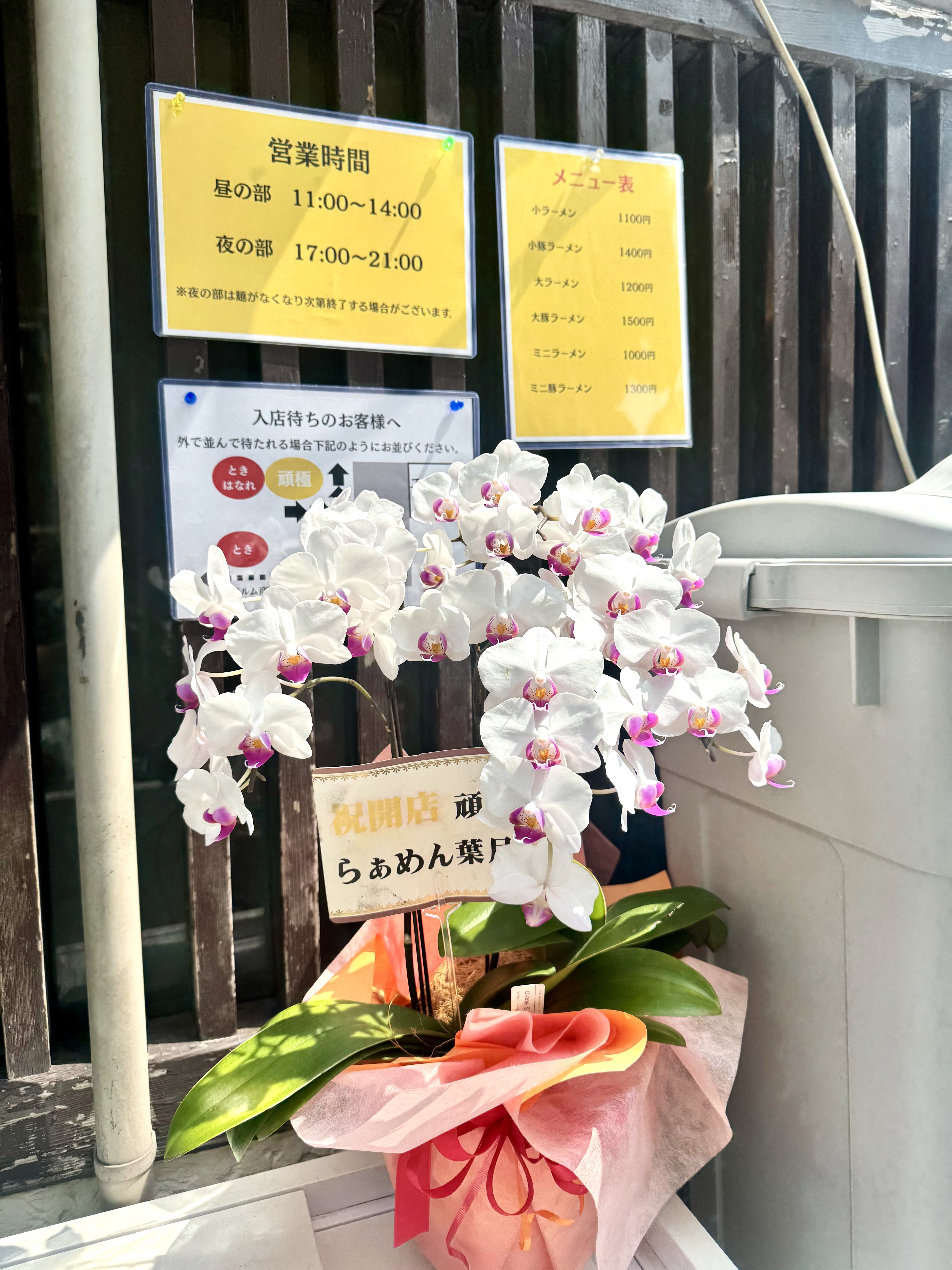 葉月からの祝いの花
