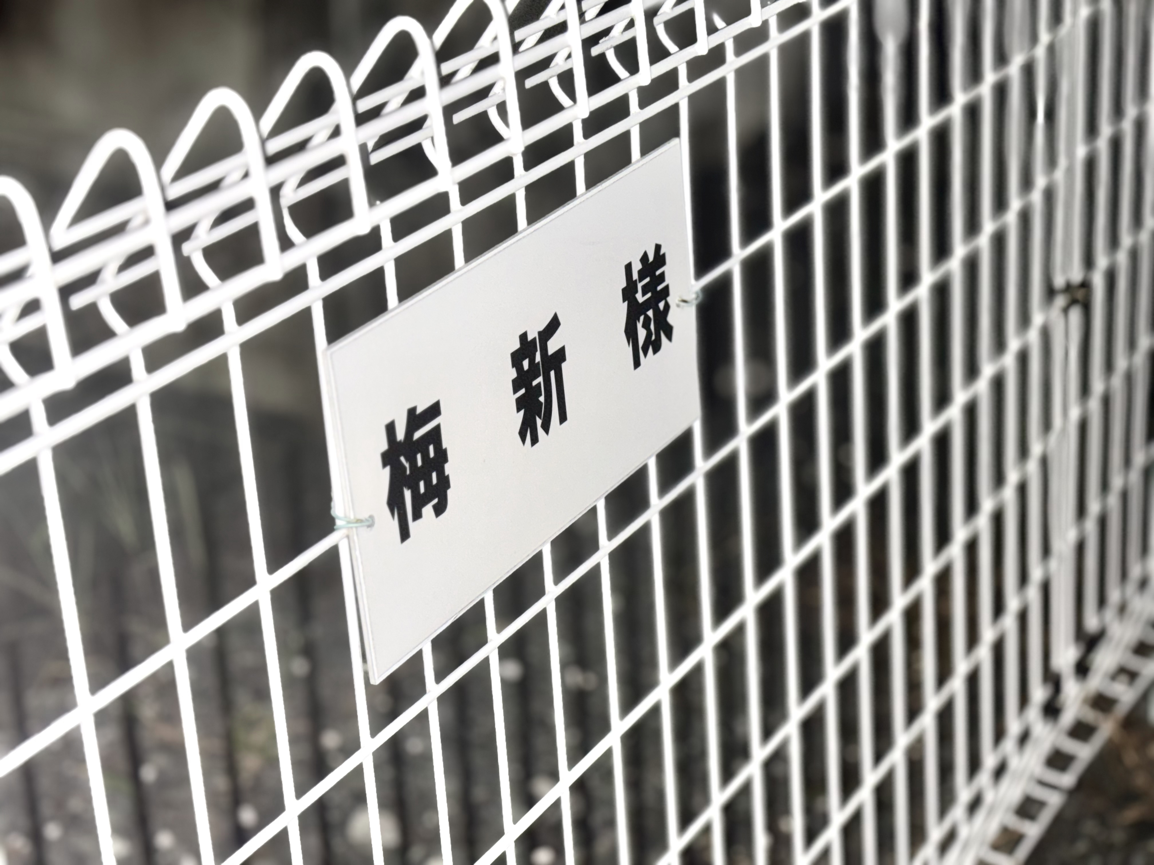 駐車場の場所を示す標識