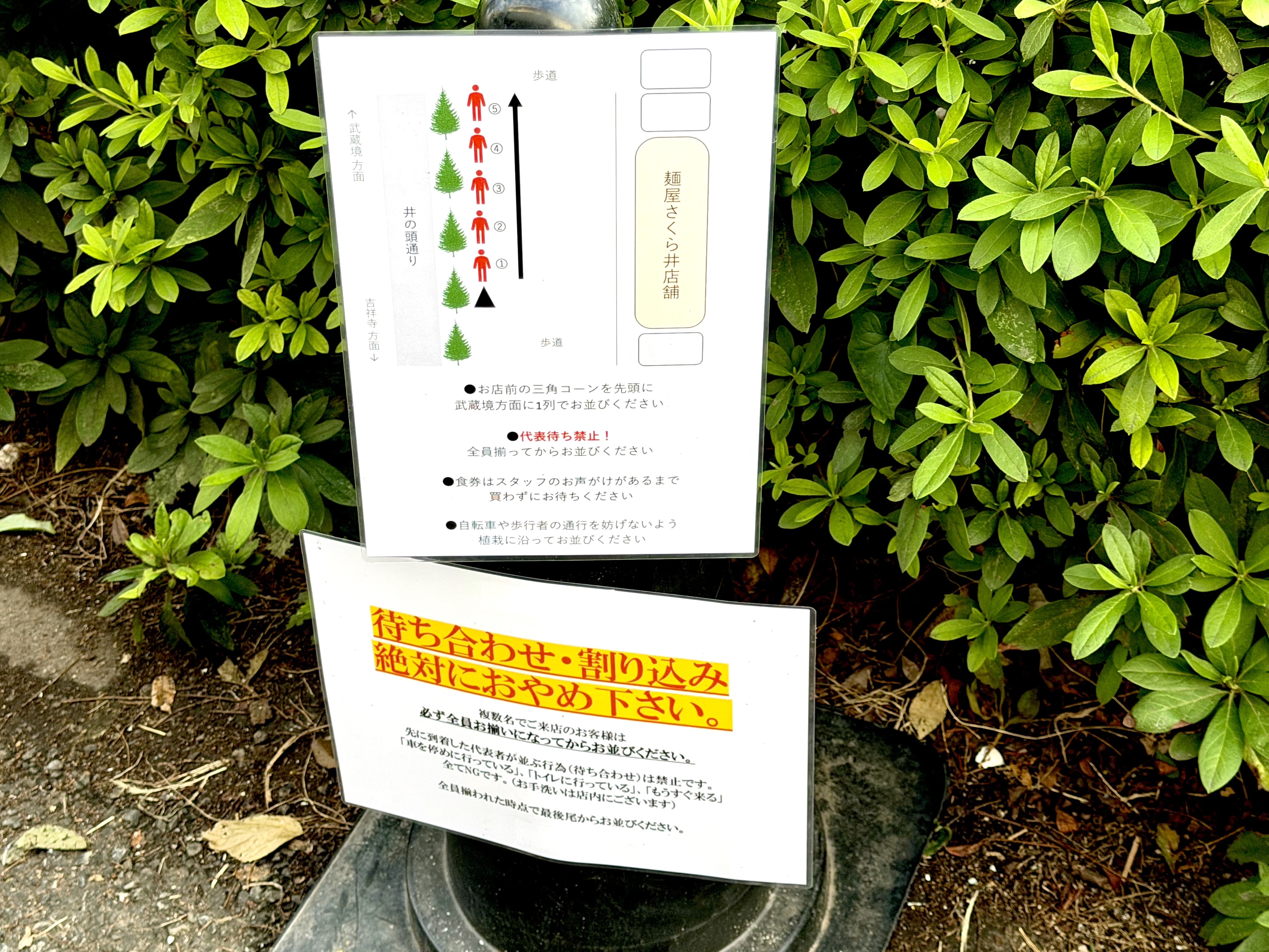 並び方と注意事項