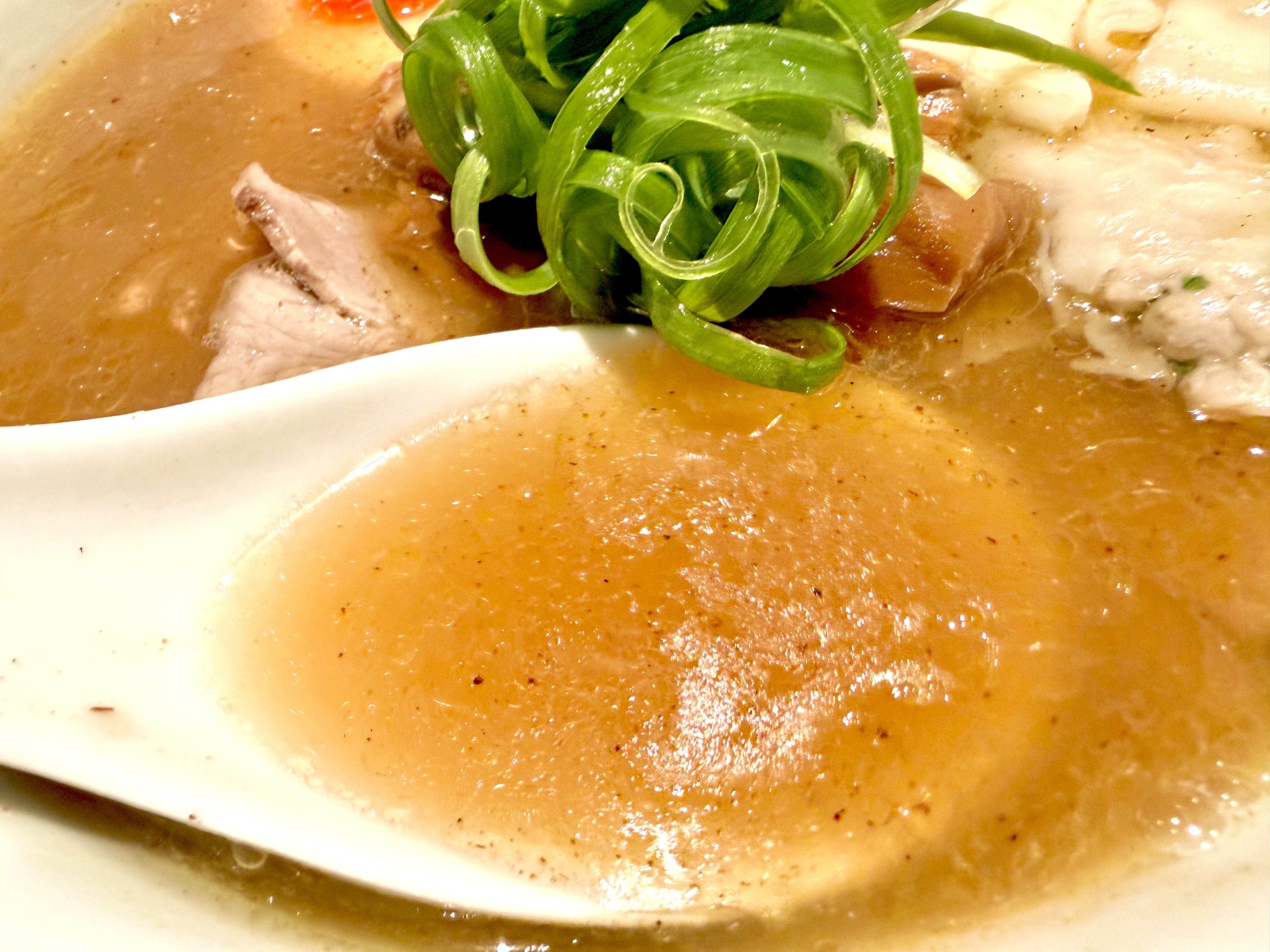 豚骨魚介スープ