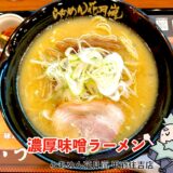 濃厚味噌ラーメン