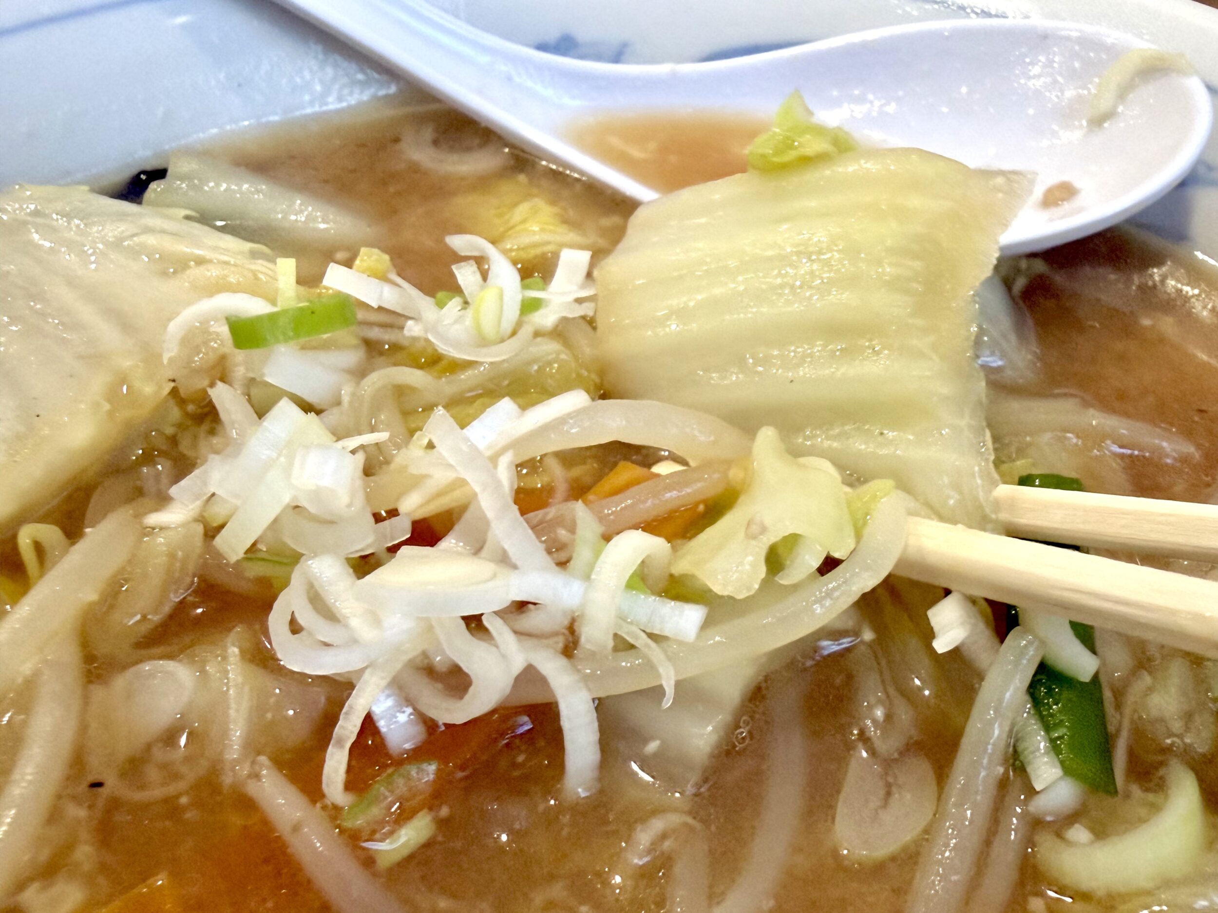 白菜などの野菜