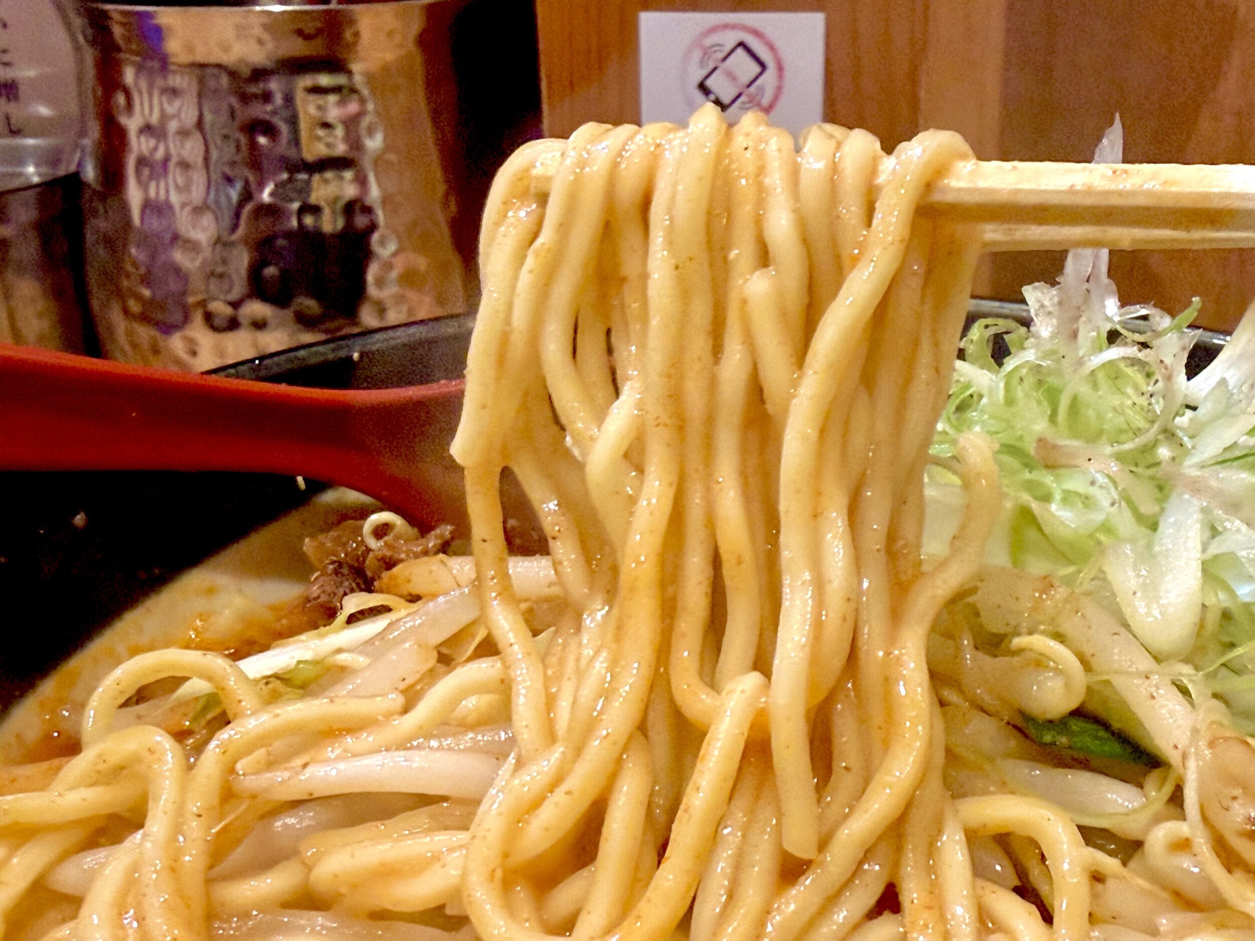 全粒粉入り中太麺