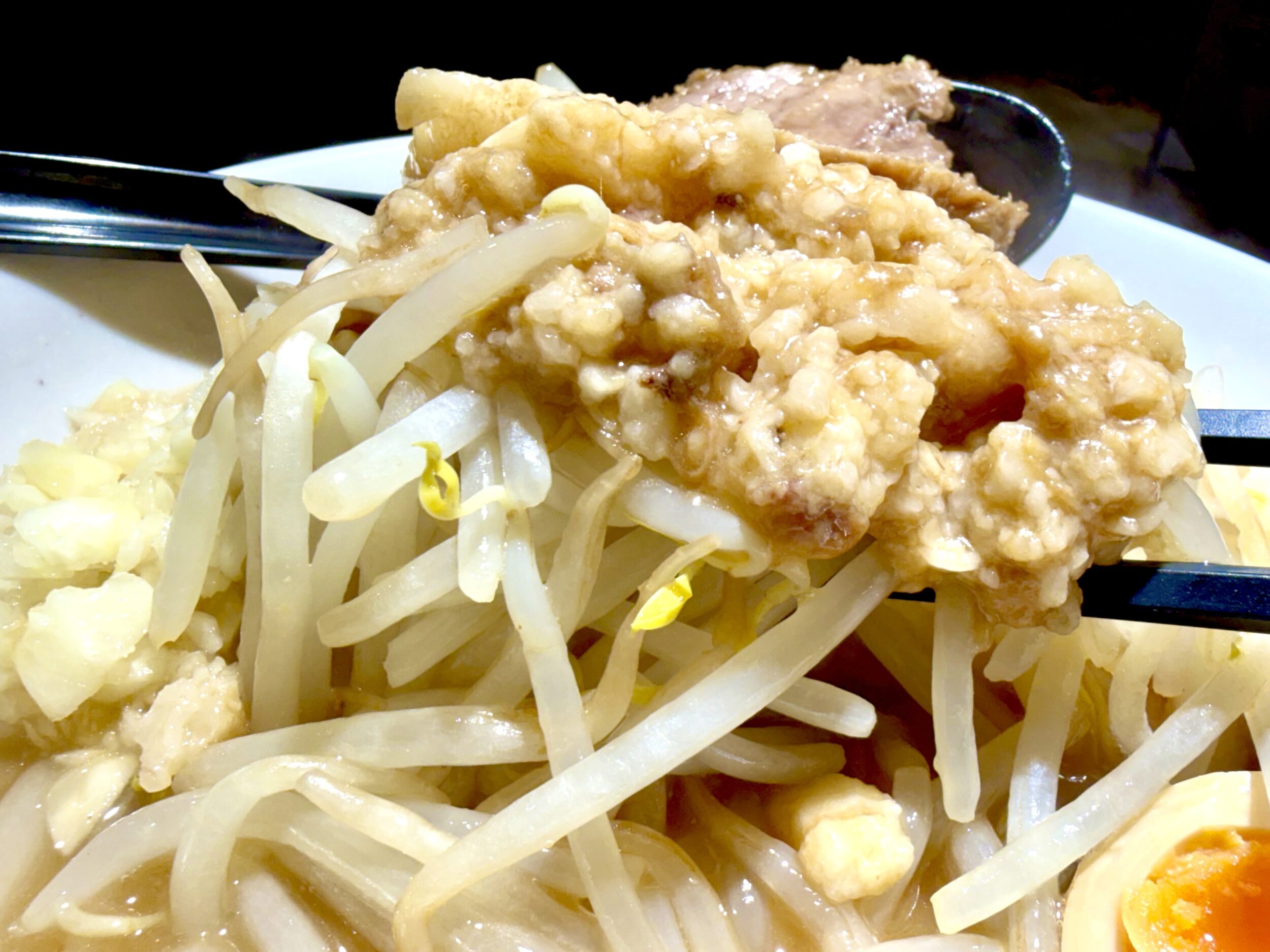 ヤサイとアブラ