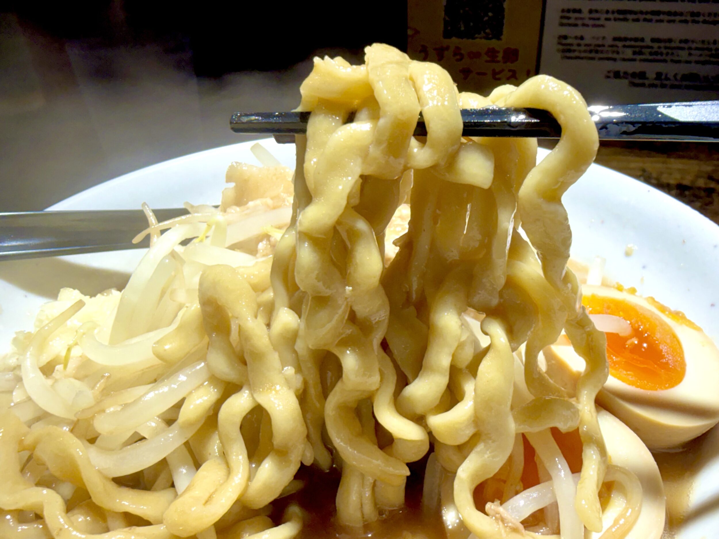 強さのある太麺