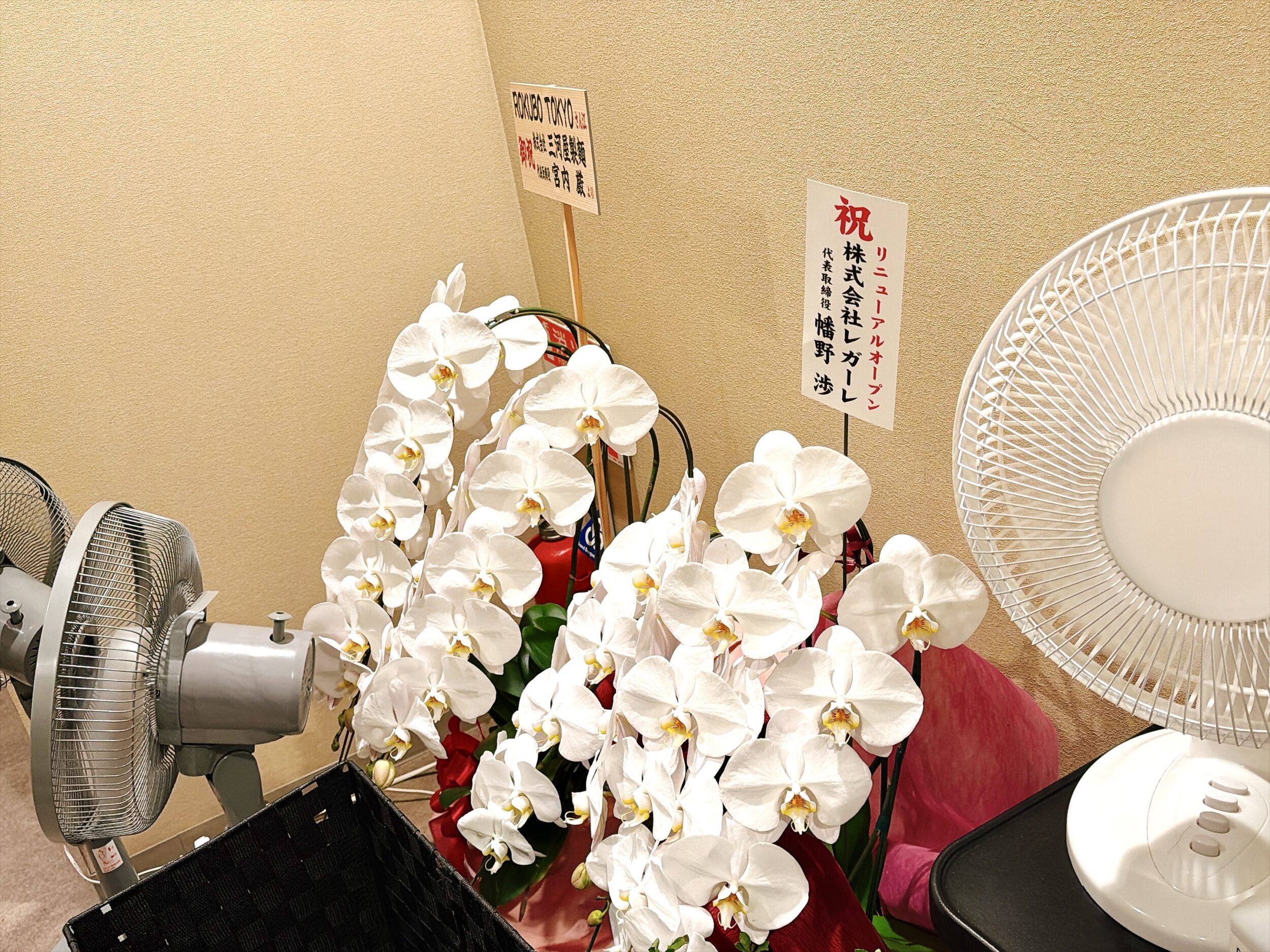 祝いの花