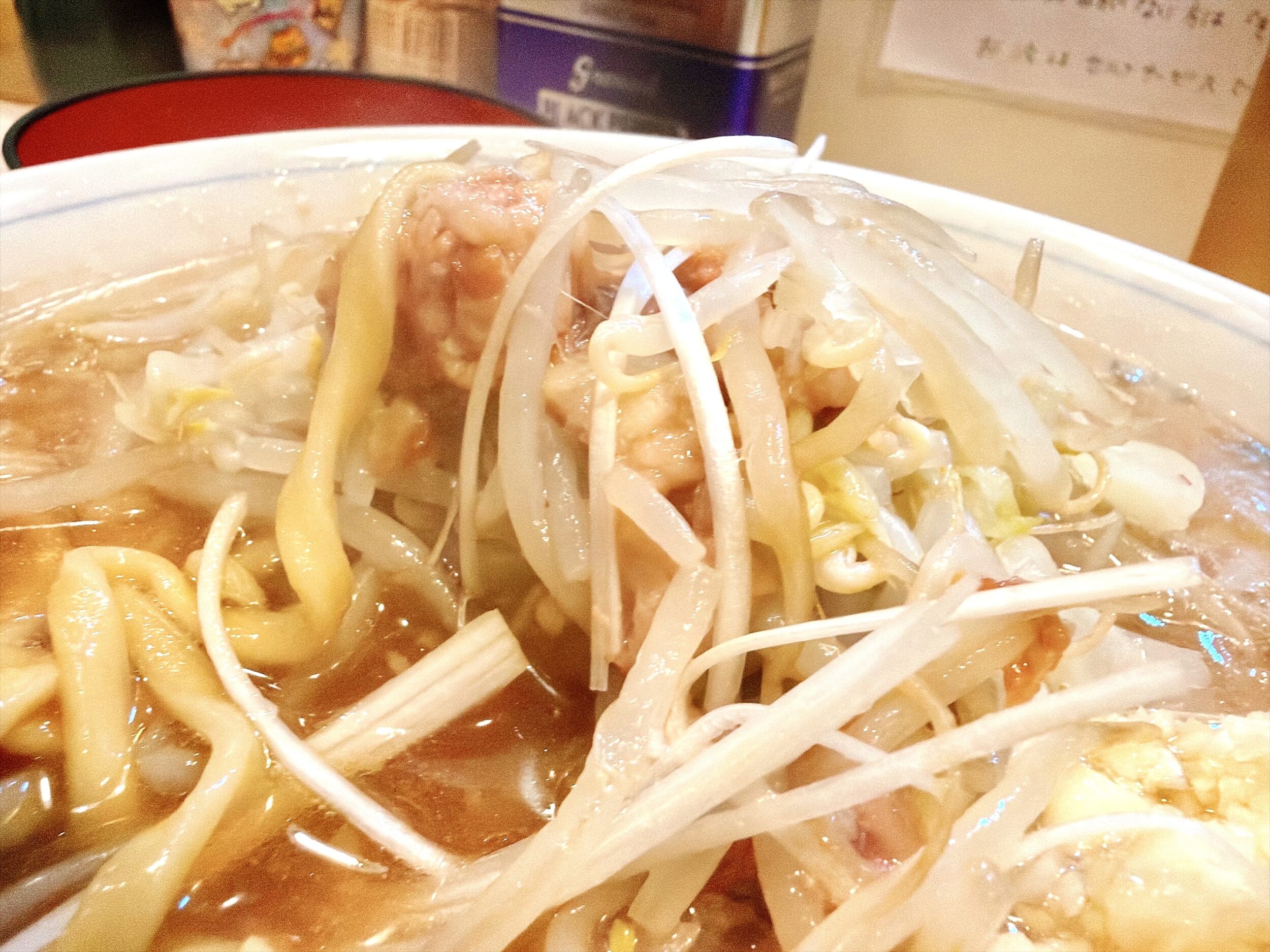 もやしと白髪ネギ